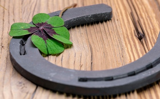 Hufeisen und vierblättriges Kleeblatt