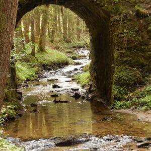 Meditative Pilgerwanderung