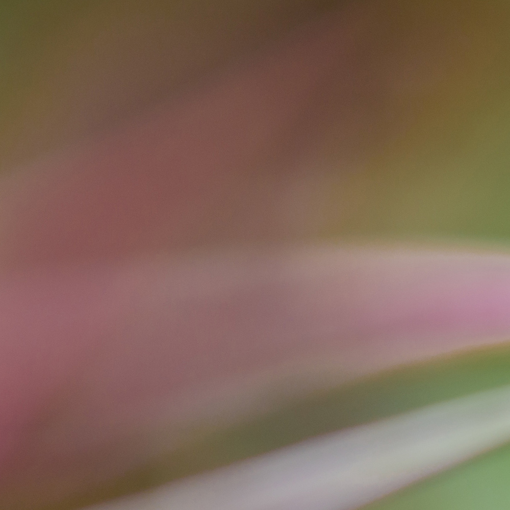 Berufsgemeinschaft der Krankenhausseelsorge