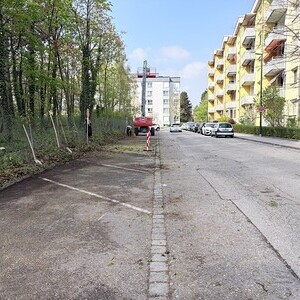 Baumschnittaktion
