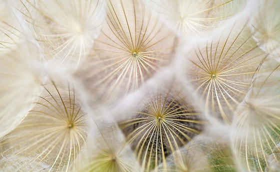 Loslassen und frei werden