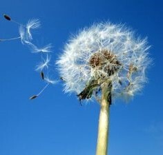 Gegenwind und Zuversicht