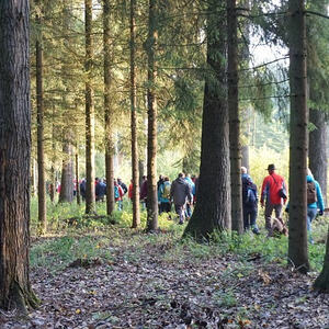 Auf den Spuren des heiligen Hubertus