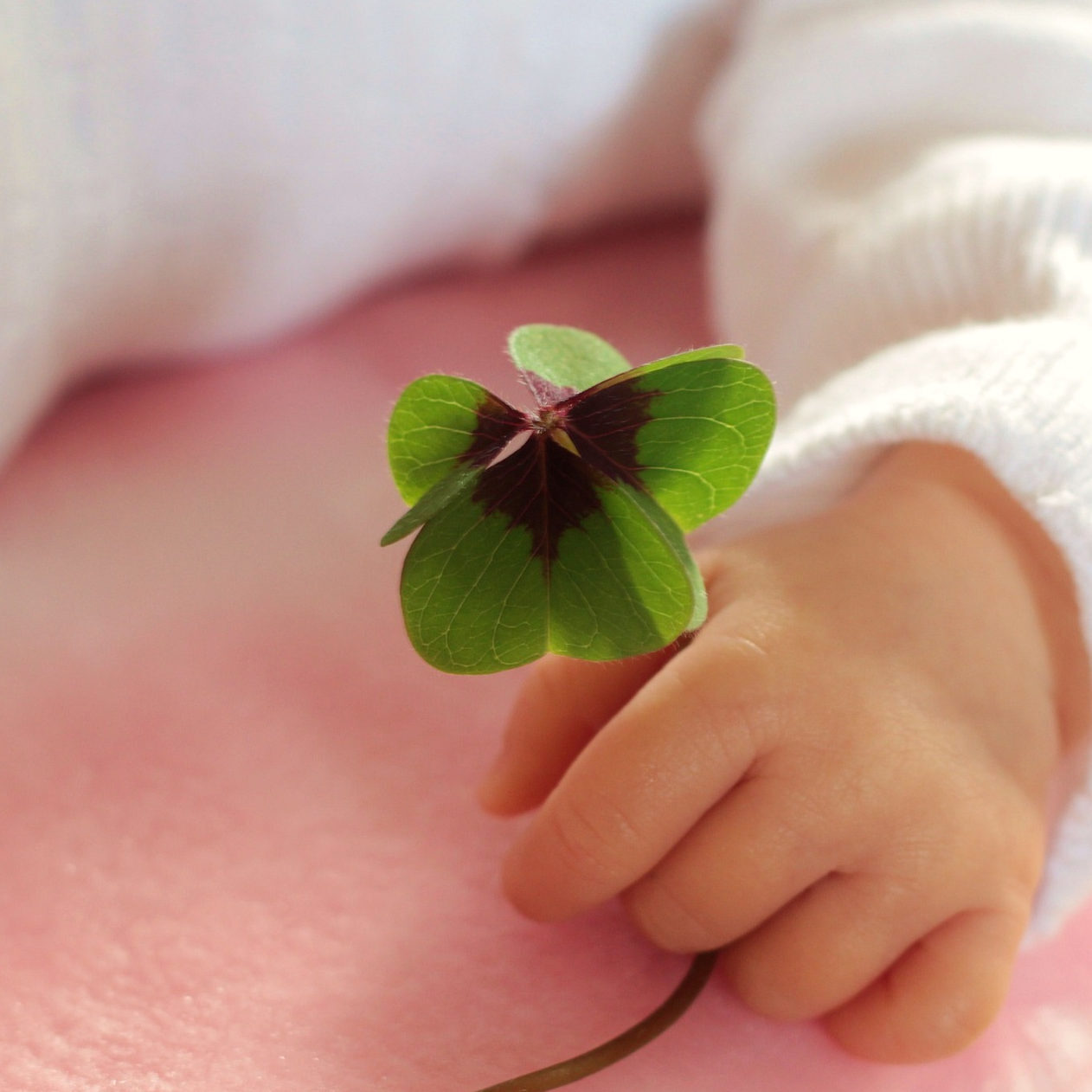 Fachausschuss Caritas