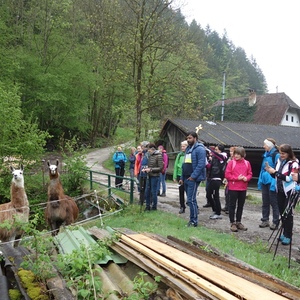 Pilgerwanderung 2019