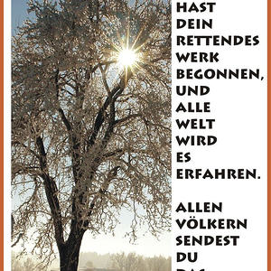 Textbilder für den Jahreskreis der Kirche