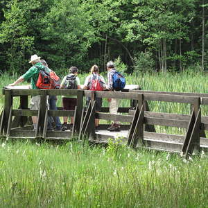 pfarrausflug st. quirinus