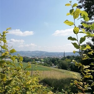 Ferienbetreuung 2020