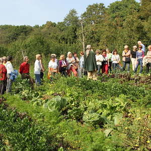 Ausflug der kfb 2014