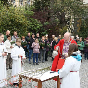 Palmsonntag in St. Quirinus
