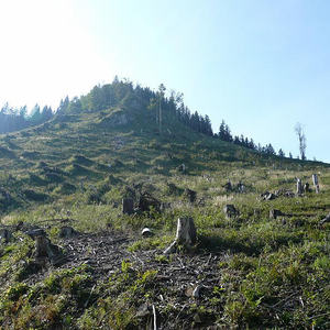 Bergmesse Ennserhütte