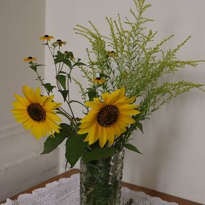 Maria Himmelfahrt in St.. Quirinus