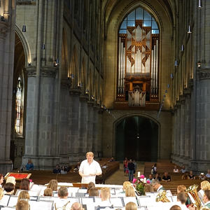 Eine Probenimpression...