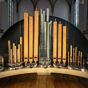 Organism: In Turbulence / Navid Navab (IR/CA)