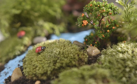 Märchenabend der KFB