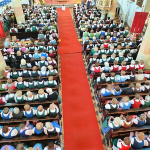 Bezirksgoldhaubentreffen 2013 