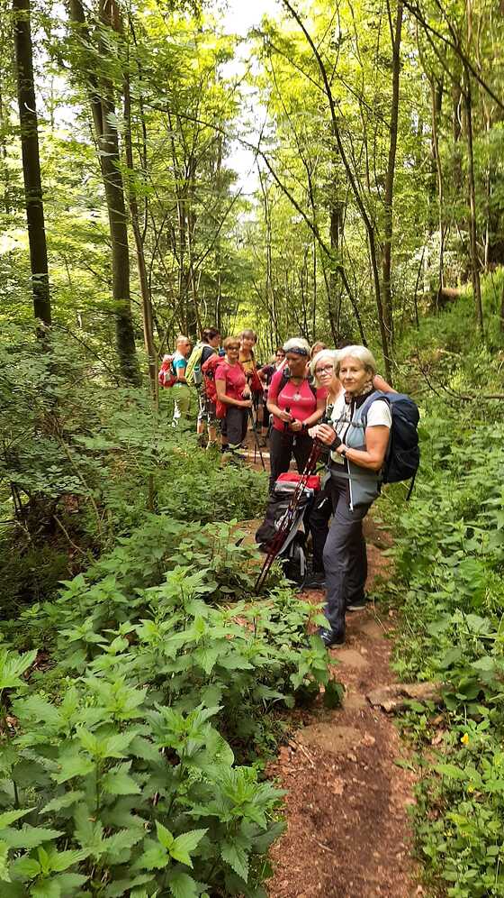 Fußwallfahrt nach Göttweig / © Berta Stadler Christi Himmelfahrt - 9.-11.5.2024
