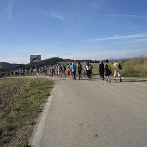 Rohrbach-Berg Wallfahrt