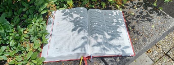 aufgeschlagene Bibel, Matthäusevangelium