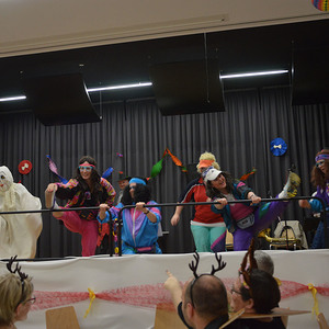 Bilder vom Pfarrfasching 2020 in Putzleinsdorf