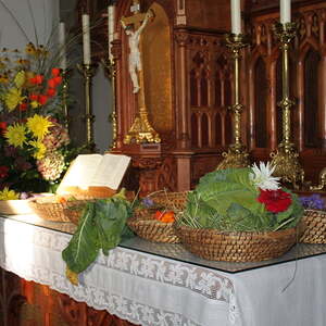 Pfarre Neumarkt im Mühlkreis