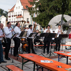 1. Schallerbacher Musiroas