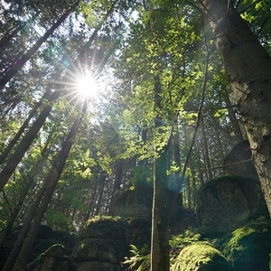 kmb Vater-Kind-Wochenende 2021