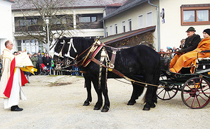 Leonhardiritt und Pferdesegnung in Geiersbach