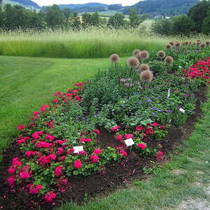 Samstag, 22. Juni 2019