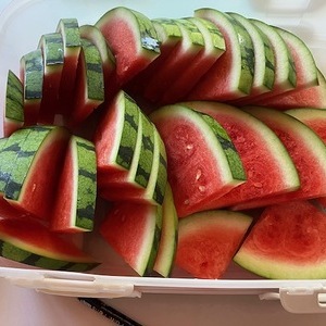 Ferienaktion