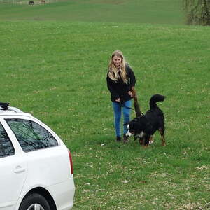 Ostern 2017, Pfarre Neumarkt im Mühlkreis