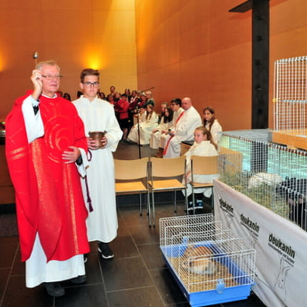 Fest des Hl. Franz von Assisi