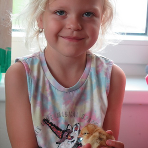 Kinder dürfen Küken halten