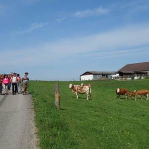 meditative Pilgerwanderung 28.4.18