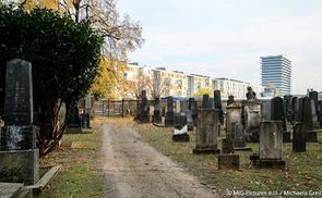 Der jüdische Friedhof in Linz
