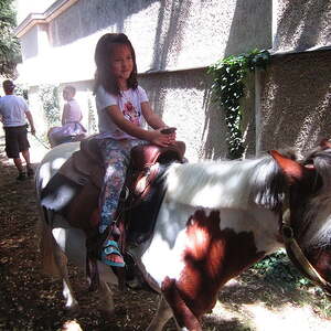 Sonntag, 30. Juni 2019