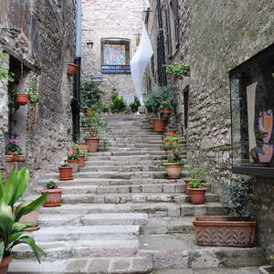 Pilgerreise Assisi und Rom