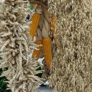 Erntedankfest Kirche Maria Schauersberg 2014