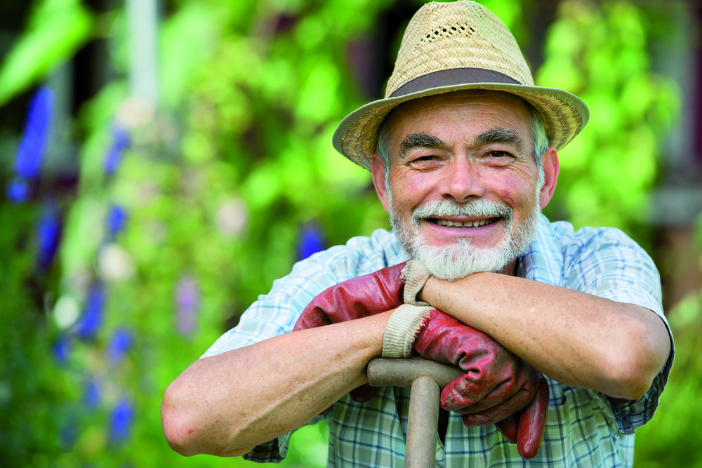 Senior gardener with a spade in the garden