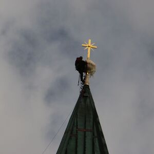 Turmkreuzsteckung 2017