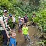 Bachwanderung und Naturerlebnis