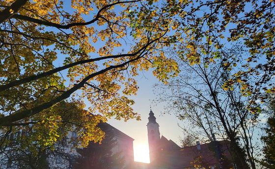 Elisabethsonntag / ©Bild für die Pfarrgemeinde Eferding/Ingrid Neundlinger
