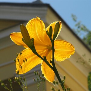 Betriebsausflug 2020