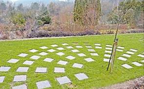 Baumbestattungen im Friedhof St. Florian ab sofort möglich