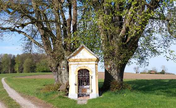 Petern Kapelle