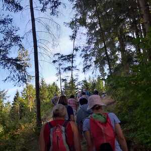 Impulswanderung KBW Lasberg