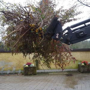 Kirchensanierung - Grünanlage