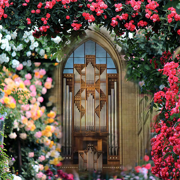 Rudigierorgel – erwacht aus dem Dornröschenschlaf