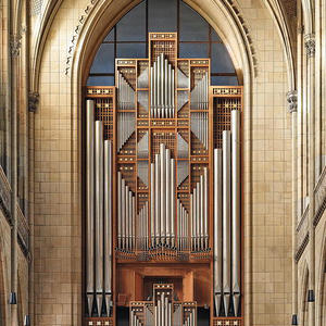 An der Rudigierorgel im Mariendom...