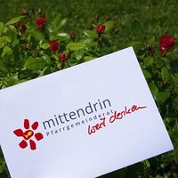 Pfarrgemeinderat / © Diözese Linz / Sefanie Petelin Pfarrgemeinderat